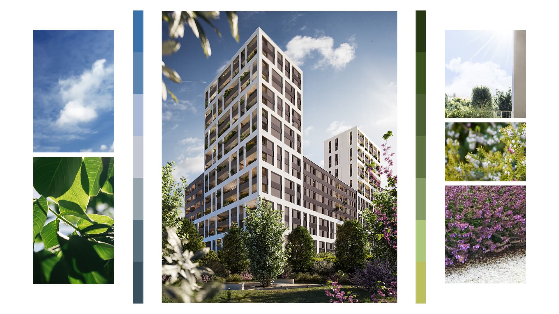 Savona 105 — 11